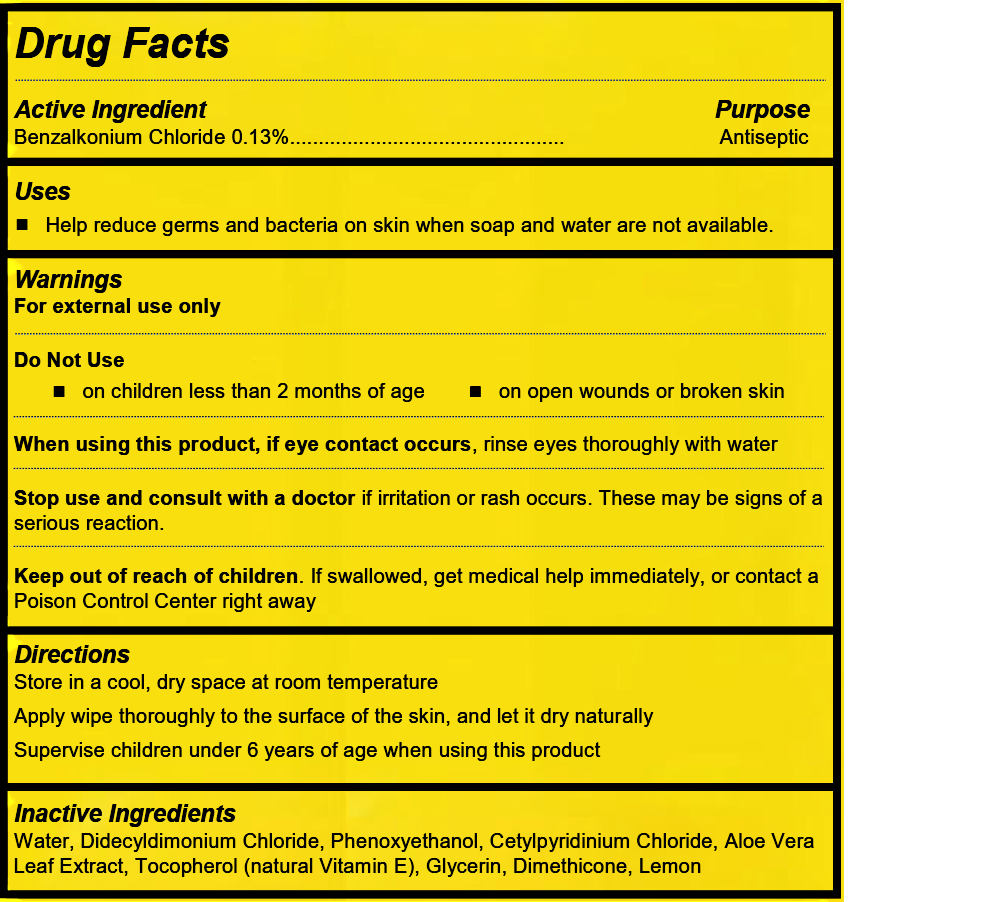 Disinfecting Wet Wipes - 2 Pack x 100 Count (***200 WIPES TOTAL***)